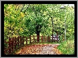 Park, Aleja, Ogrodzenie, Opadłe, Liście