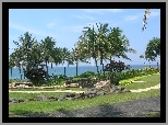 Park, Mostek, Palmy, Bali