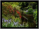 Ogród Keukenhof, Park, Krzewy, Różaneczniki, Kwiaty, Dzwonki, Staw, Drzewa, Lisse, Holandia