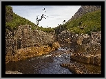 Park, Narodowy, Rocks, Rzeka, Skały, Roślinność