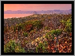 Stany Zjednoczone, Kalifornia, Park Stanowy Montana de Oro, Zachód słońca, Wzgórza, Krzewy, Roślinność