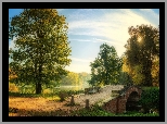 Park, Drzewa, Staw, Most, Mgła, Niebo, Słoneczny blask, Jesień