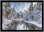 Park Narodowy Yosemite, Rzeka Merced River, Góry, Śnieg, Drzewa, Lasy, Chmury, Szron, Zima, Kalifornia, Stany Zjednoczone