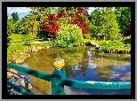 Park, Latem, Staw, Drzewa