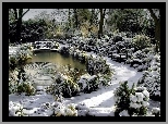 Park, Zimą, Staw, Drzewa
