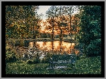 Park, Staw, Ławka, Drzewa, Zachód słońca