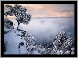 Zima, Góry, Mgła, Chmury, Drzewo, Park prowincjonalny Daedunsan, Jeolla Północna, Korea Południowa