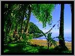 Morze, Plaża, Palmy
