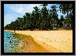 Plaża, Morze, Piasek, Palmy