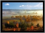 Pola, Drzewa, Mgła, Panorama, Jesień