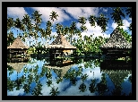Polinezja Francuska, Wyspa Moorea, Domki, Palmy