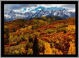 Las, Drzewa, Chmury, Jesień, Góry, San Juan Mountains, Przełęcz, Dallas Divide, Kolorado, Stany Zjednoczone