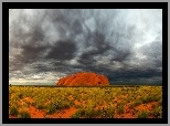 Uluru, Czerwona, Skała, Trawy, Chmury