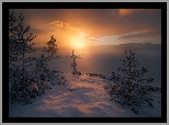Norwegia, Ringerike, Zima, Zachód słońca, Śnieg, Drzewa, Jezioro