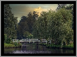 Rosarium Uetersen, Ogród różany, Staw, Mostek, Drzewa, Wierzby płaczące, Uetersen, Szlezwik-Holsztyn, Niemcy