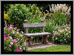 Ogród, Ławka, Kwitnące, Kwiaty, Trawa, Krzewy, AI, Rośliny