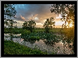 Staw, Drzewa, Trawa, Rośliny, Zachód słońca