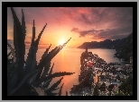 Włochy, Cinque Terre, Vernazza, Morze, Góry, Zachód słońca, Rośliny
