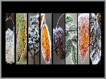 Różne, Zmrożone, Liście, Grafika