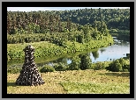 Łąka, Rzeka, Drzewa