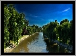 Rzeka, Bega