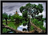 Cerkiew, Rzeka, Drzewa