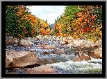 Rzeka, Kamienie, Drzewa, Jesień