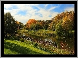 Rzeka, Park, Kolorowe, Drzewa, Jesień