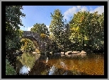 Rzeka, Most, Drzewa, Jesień
