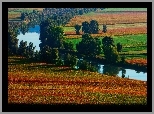 Rzeka, Pola, Drzewa, Jesień
