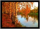 Jesień, Rzeka, Brzozy
