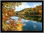 Rzeka, Wzgórza, Las, Jesień, Drzewa