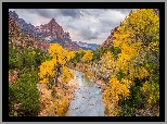Jesień, Góry, Góra Watchman, Rzeka, Virgin River, Drzewa, Park Narodowy Zion, Utah, Stany Zjednoczone