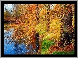 Rzeka, Park, Drzewa, Liście, Jesień