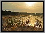 Rzeka, Lasy, Trawy, Wschód, Słońca