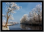 Rzeka, Drzewa, Zimowy, Widok