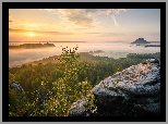 Niemcy, Park Narodowy Saskiej Szwajcarii, Góry Połabskie, Skały, Drzewa, Mgła, Chmury, Wschód słońca
