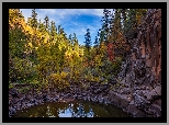 Stany Zjednoczone, Arizona, Sedona, Drzewa, Wąwóz, Skały