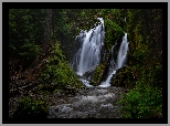 Park Narodowy Jeziora Kraterowego, Las, Drzewa, Skała, Wodospad, National Creek Falls, Rzeka, Kamienie, Oregon, Stany Zjednoczone