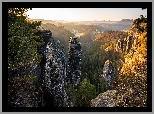 Skały, Góry Połabskie, Drzewa, Park Narodowy Saskiej Szwajcarii, Niemcy