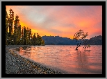Jezioro Wanaka, Drzewa, Zachód słońca, Pochylone, Drzewo, Ptaki, Góry, Jesień, Region Otago, Nowa Zelandia