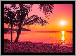 Wschód słońca, Morze, Palmy, Plaża