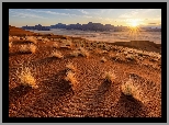 Afryka, Namibia, Pustynia Namib, Wydmy, Trawy, Promienie słońca