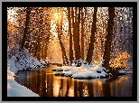 Las, Śnieg, Drzewa, Rzeka, Słońce