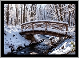 Zima, Drzewa, Las, Rzeka, Ośnieżony, Drewniany, Most, Śnieg