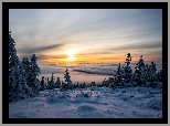 Zima, Zachód słońca, Chmury, Ośnieżone, Drzewa, Pole, Śnieg