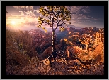 Stany Zjednoczone, Utah, Park Narodowy Bryce Canyon, Drzewo, Sosna, Skały, Wschód słońca, Promienie, Chmury