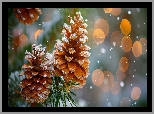 Dwie, Ośnieżone, Szyszki, Sosna, Igły, Bokeh, Grafika