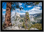 Góry, Szczyt Half Dome, Drzewa, Sosny, Park Narodowy Yosemite, Kalifornia, Stany Zjednoczone