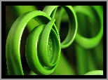 Zielone, Spirale, Liście